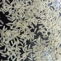 برنج اصل اصل سوزنی قیمت 235|عمدهفروشی|انبارآلوم, |دیوار