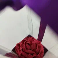 گل های که هرگز پژمرده نمیشوند...|گل و گیاه طبیعی|اهواز, کمپلو شمالی|دیوار