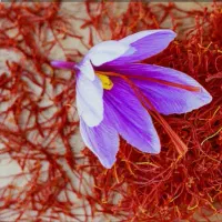 زعفران و زرشک خراسان