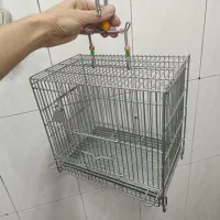 قفس سهره فضله گیردار