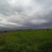 زمین کشاورزی سیاحومه 45000 متر با سندو قولنامه|فروش دفتر صنعتی، کشاورزی، تجاری|بانه, |دیوار