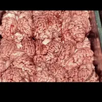 پخش مغز زبان گوشت صورت گوساله تازه کشتار روز|خوردنی و آشامیدنی|تهران, فدک|دیوار