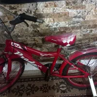 دوچرخه در حد نو