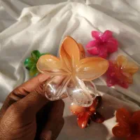 کلیپس خاص مدل سال|زیورآلات و اکسسوری|اصفهان, شاهد|دیوار