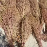 جارو|لوازم نظافت|خرمآباد, |دیوار