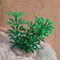 لوازم آکواریوم|لوازم جانبی حیوانات|دماوند, گیلاوند|دیوار