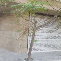 دو عدد مغازه دارای تجاری در سلیم آبادی سند دار