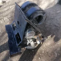 بخاری پیکان