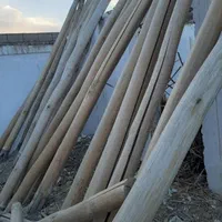 خریدار چوب سقفی|خدمات باغبانی و درختکاری|نیشابور, شهید بهشتی|دیوار