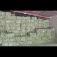 یونجه (پرس یونجه)