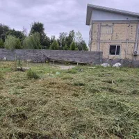 فروش زمین  ۶۰۰ متری سندتک برگ  ۳۵۰ متر پروانه ساخت|فروش زمین و ملک کلنگی|ماسال, |دیوار