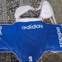 هوگو تکواندو