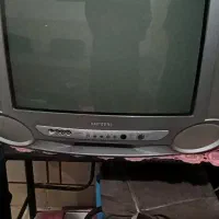 تلویزیون