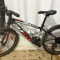دوچرخه جاینت سایز ۲۴