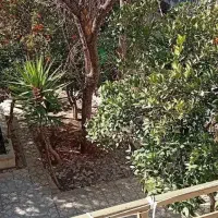 خوابگاه پسرانه|اجارهٔ کوتاه‌مدت آپارتمان و سوئیت|شیراز, اصلاح‌نژاد|دیوار