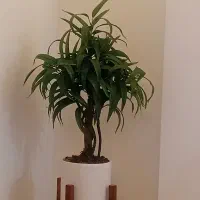 گل مصنوعی شیک