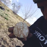 شهاب سنگ ماه الماس