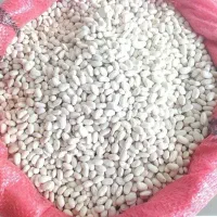 فروش حبوبات|خوردنی و آشامیدنی|رشت, پیرسرا|دیوار