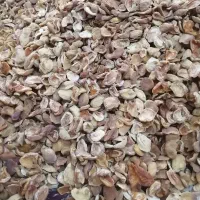 برگه زردآلو|خوردنی و آشامیدنی|یزد, |دیوار