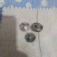 شجر