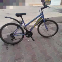 دوچرخه ۲۴ دنده ای درحد