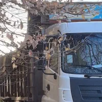 راننده کمکی