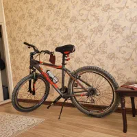 دوچرخه ویوا تایوان