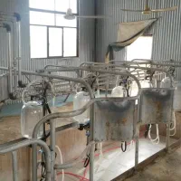 گاوداری 100 راسی شیری|فروش دفتر صنعتی، کشاورزی، تجاری|مشهد, شهرآباد|دیوار