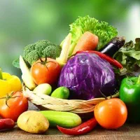 پخش تره بار با ارسال رایگان و بهترین کیفیت