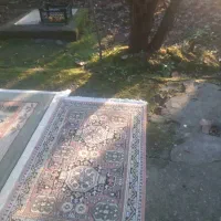 قالی و قالیچه ماشینی|فرش|آستانه اشرفیه, |دیوار