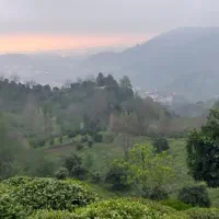 فروش-زمین-باغی-2400-متری