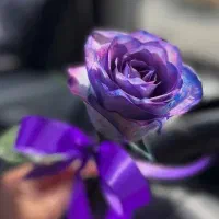 راهنمایی کنید