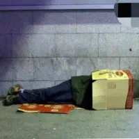 تور کارتن خوابی در شیراز و شمال