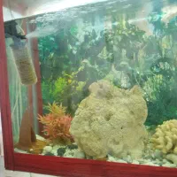 آکواریوم با تمام تجهیزاتش