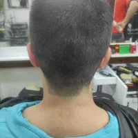 اصلاح رایگان|خدمات آرایشگری و زیبایی|شیراز, قالیشویی|دیوار
