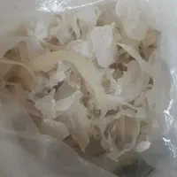 کتیرا گون امسالی