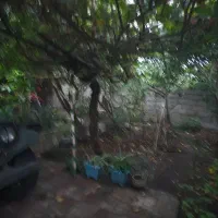 فروش ویلایی ۳۰۰ متری شهرک انصاری دو قدمی دریا|فروش خانه و ویلا|رودسر, |دیوار