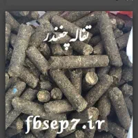 فروش مقدار ۲تن تفاله چغندر قند قلمی شده خشگ|لوازم جانبی حیوانات|مرودشت, پشت سایپا|دیوار