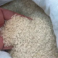 انواع برنج ایرانی|خوردنی و آشامیدنی|تهران, خانی آباد نو جنوبی|دیوار