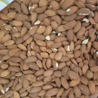 مقداری مغز بادام تلخ جهت دارو روغن گیری