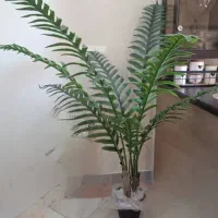 درخچه ی مصنوعی شادورما