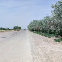 پلاک-باغی-فول-امکانات-کامل-تیمیارت