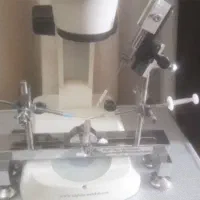 ملکه های اصلاح شده ی زنبور عسل و درخواست بازاریاب