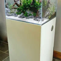 نیازمند نصاب آکواریوم پلنت /گیاهی