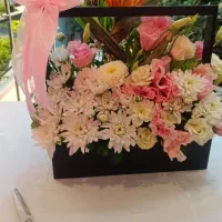 دسته گل  سبد گل ماشین عروس و گل آرایی باغ تالار|گل و گیاه طبیعی|گلبهار, شهر جدید گلبهار|دیوار