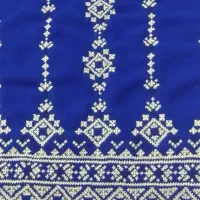 پلیوار