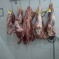 گوشت گوسفندی|خوردنی و آشامیدنی|اصفهان, جاوان|دیوار