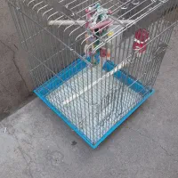 قفس طوطی سایز بزرگ بزرگ معاوضه با پرنده فقط