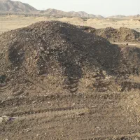 فروش کود مرغی تناژ