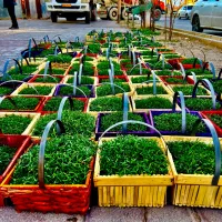 شاگرد برای سوپر مارکت شیفت شب